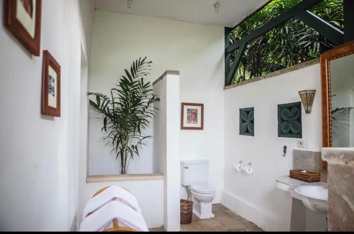 Taman Bebek Bali Hotel Ubud  Luaran gambar