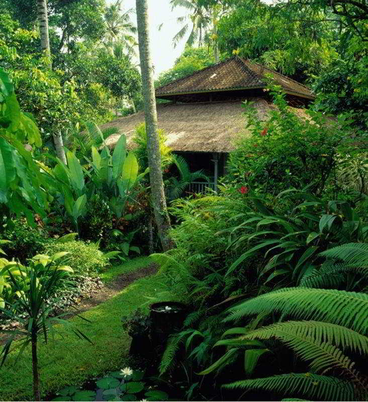 Taman Bebek Bali Hotel Ubud  Luaran gambar