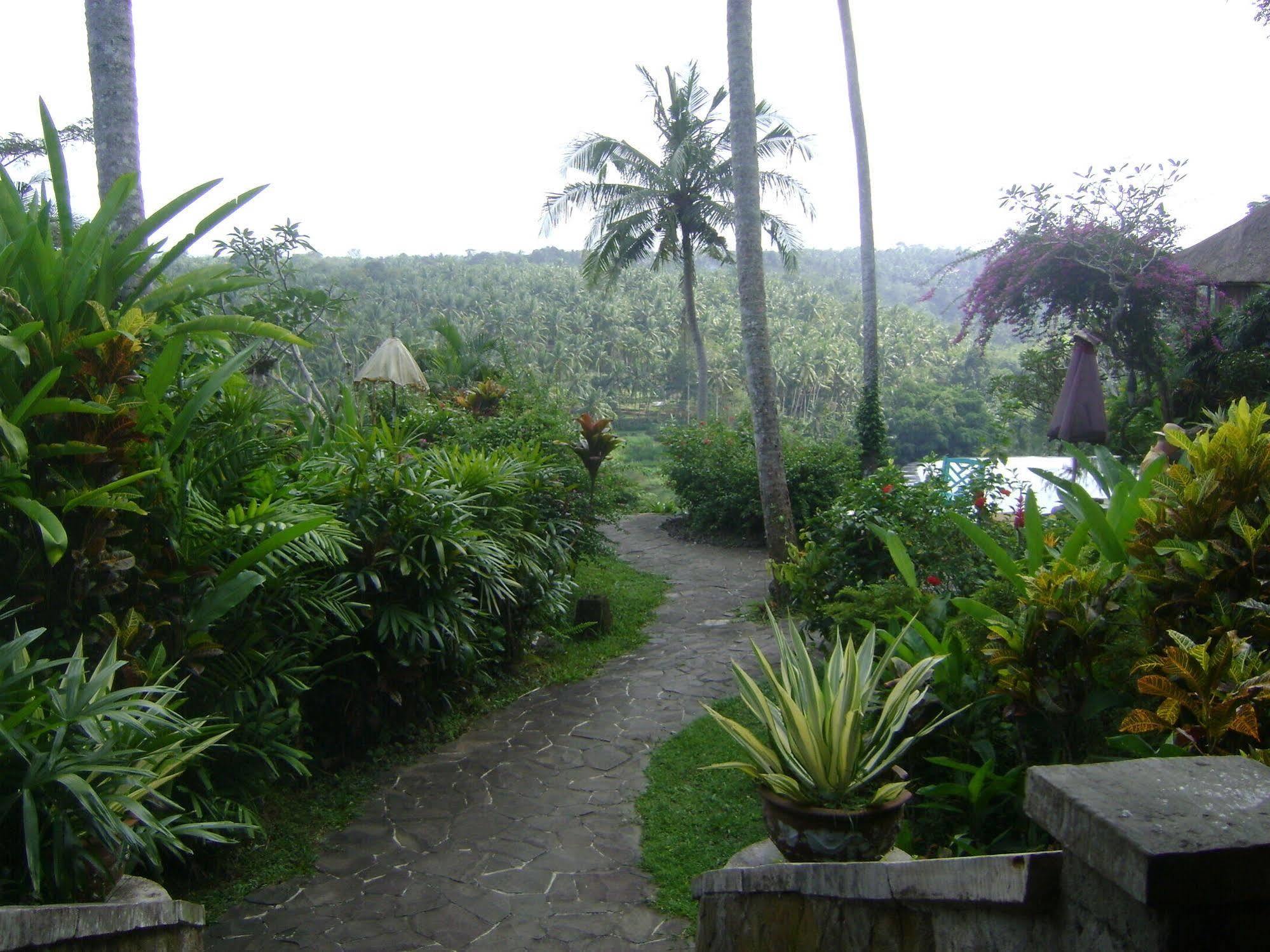 Taman Bebek Bali Hotel Ubud  Luaran gambar