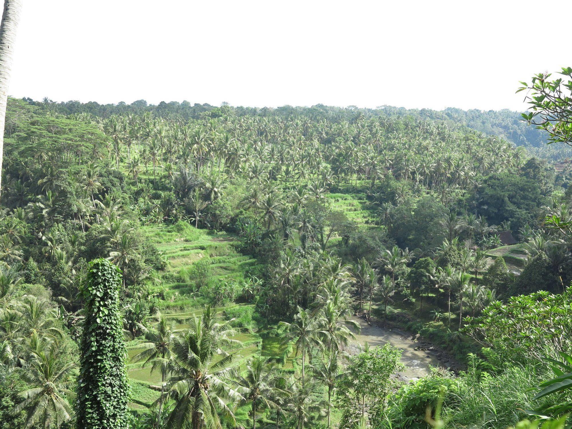Taman Bebek Bali Hotel Ubud  Luaran gambar