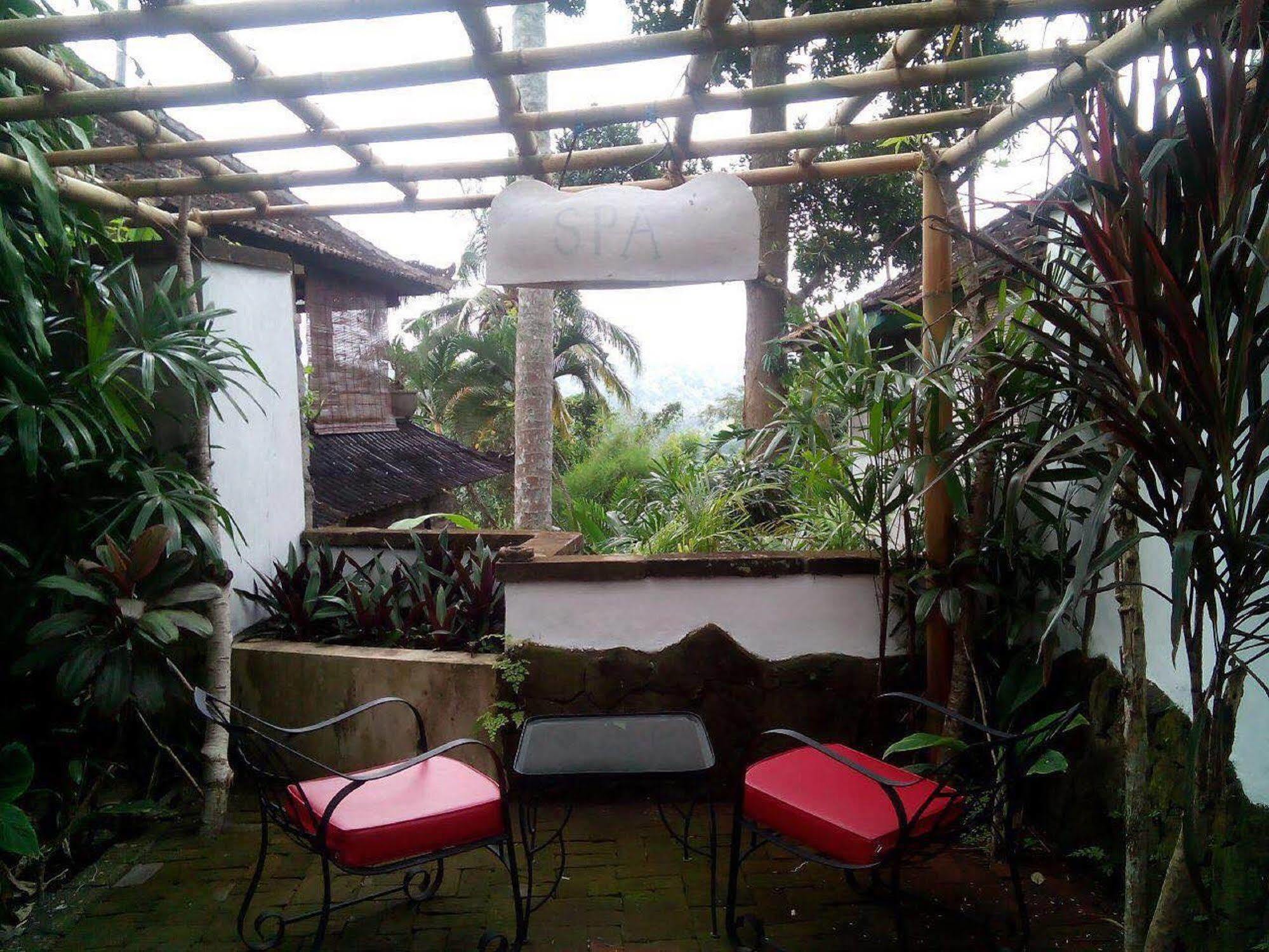 Taman Bebek Bali Hotel Ubud  Luaran gambar
