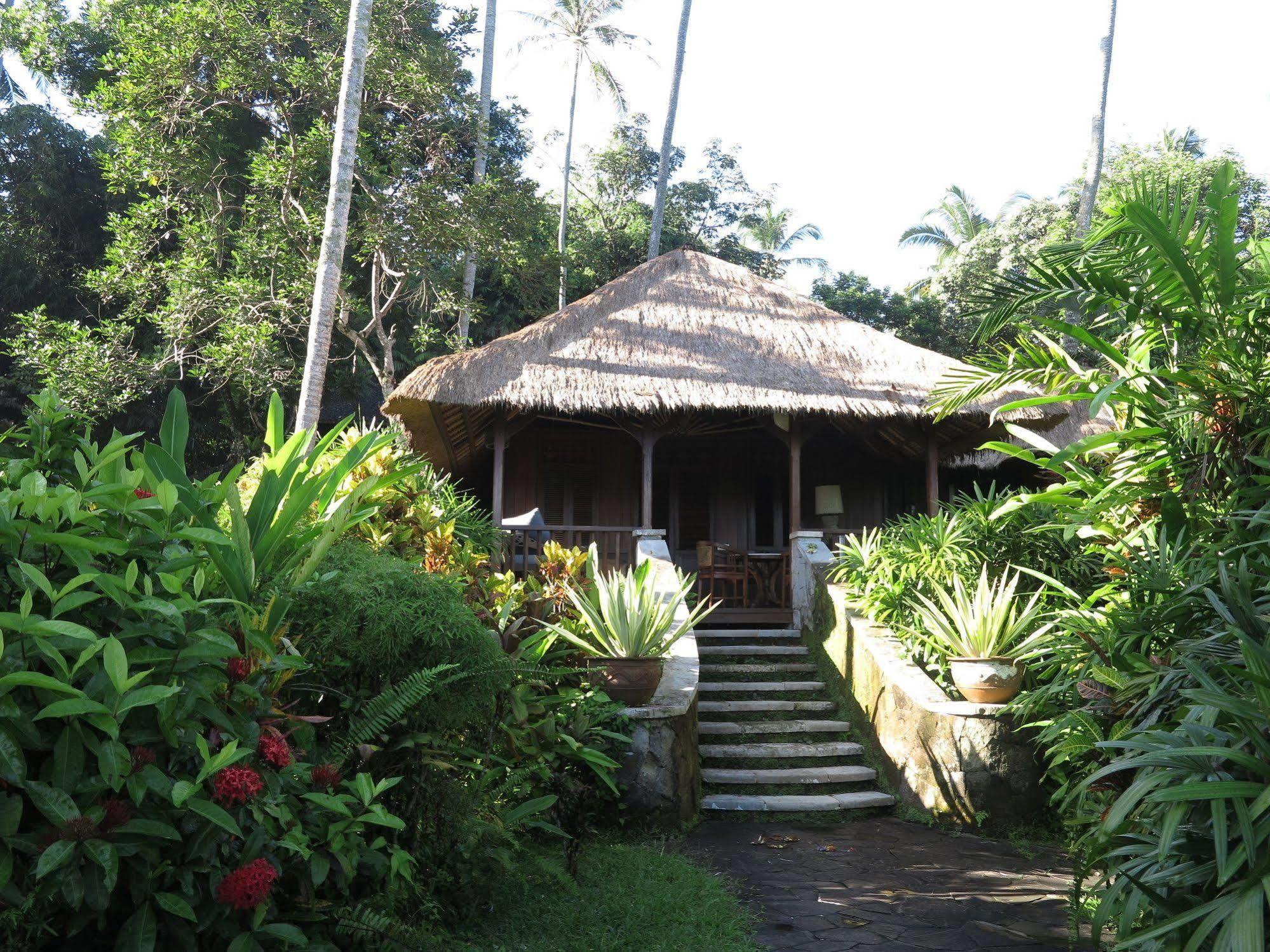 Taman Bebek Bali Hotel Ubud  Luaran gambar