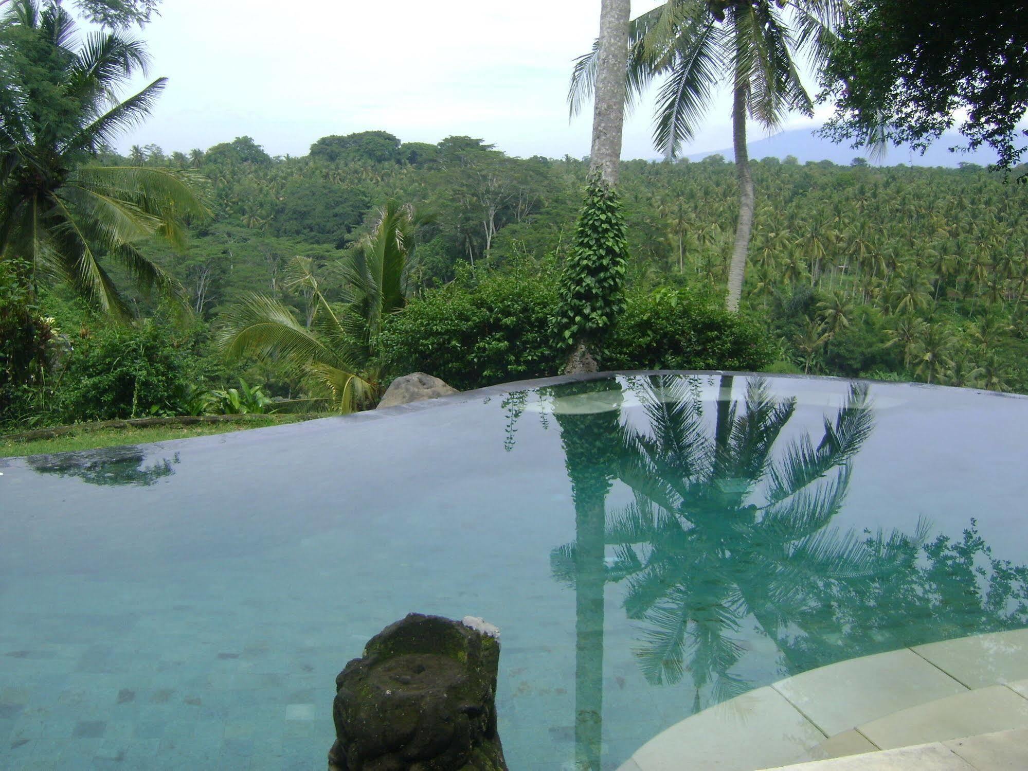 Taman Bebek Bali Hotel Ubud  Luaran gambar