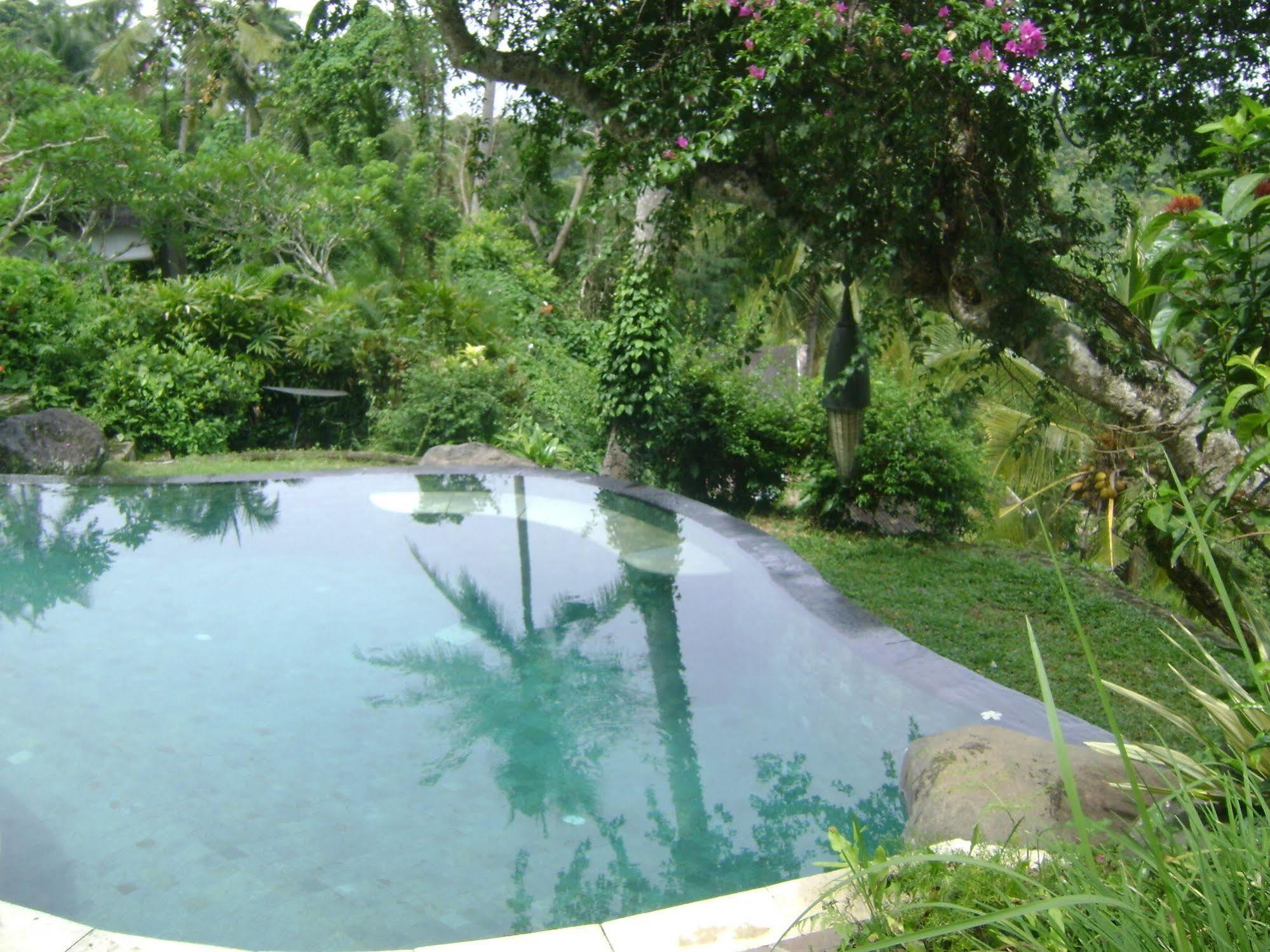 Taman Bebek Bali Hotel Ubud  Luaran gambar