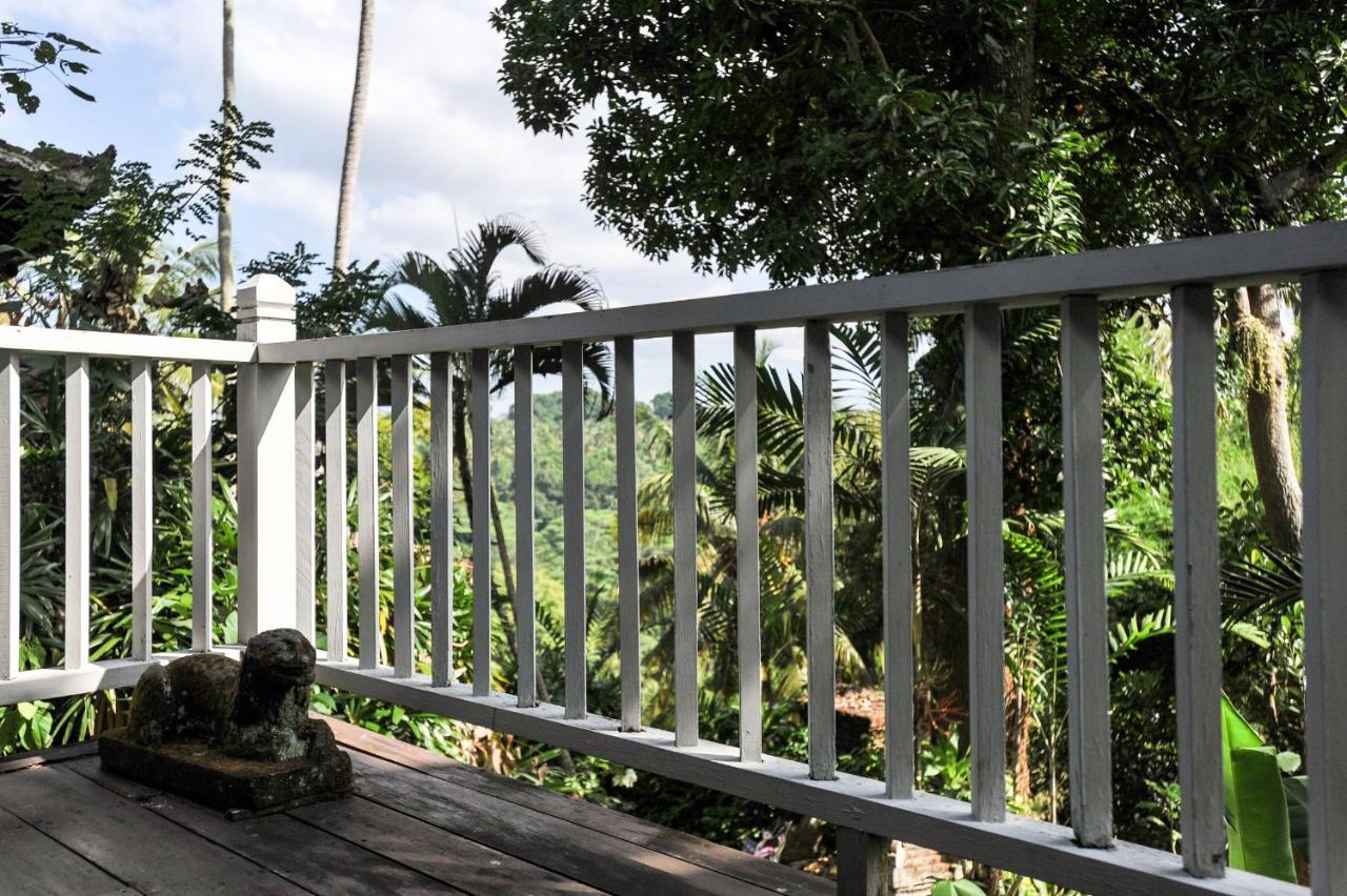 Taman Bebek Bali Hotel Ubud  Luaran gambar